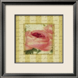 Rose and Romance I