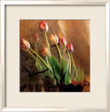 Tulip Reflection