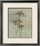 Silver Foliage II