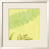 Feather Leaf