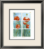 Poppies at the Window