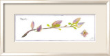 Magnolia Branch