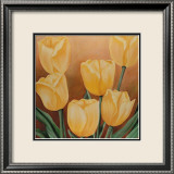 Orange Tulips