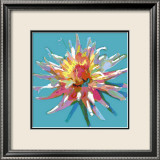Dahlia
