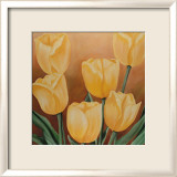 Orange Tulips
