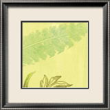 Feather Leaf
