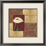 Calla Lily: Cherish Live Dream