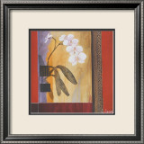 Orchid Lines I
