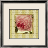 Rose and Romance II