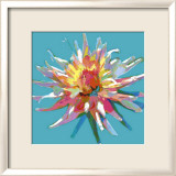 Dahlia
