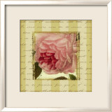Rose and Romance II