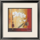 Orchid Lines II