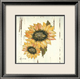 Sunflower I