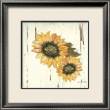 Sunflower II