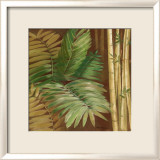 Bamboo & Palms II