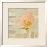 Hellebore III
