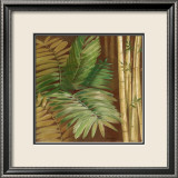 Bamboo & Palms II