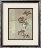 Silver Foliage I