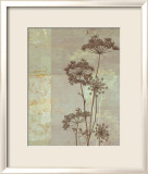Silver Foliage I