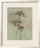 Silver Foliage II