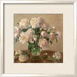 White Roses