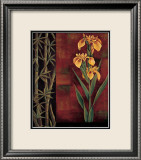 Yellow Iris