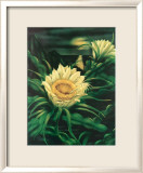Blooming Cereus with Full Moon