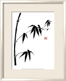Bamboo II