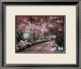 Azalea Walk