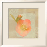Hellebore II