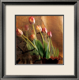 Tulip Reflection