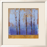 Birch Trees I