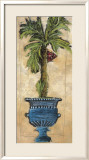 Potted Palm III