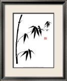 Bamboo II