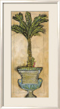 Potted Palm IV