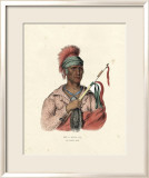 An Ioway Chief