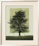 Natures Shapes II