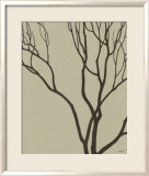 Bare Tree I