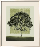 Natures Shapes I