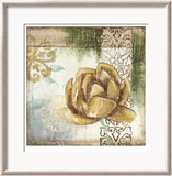 Globeflower Fresco II