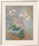 Orchid Heirloom I