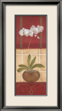 Window Wonders I