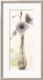 Charming Lisianthus