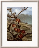 Red Orchard