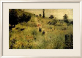 Path Bordered by Tall Grass