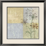 Wildflowers II