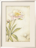 Peony I