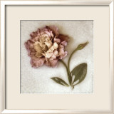 Sand Lisianthus