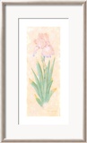 Iris Soliloquy I