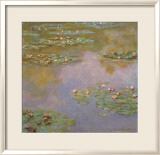 Water Lilies